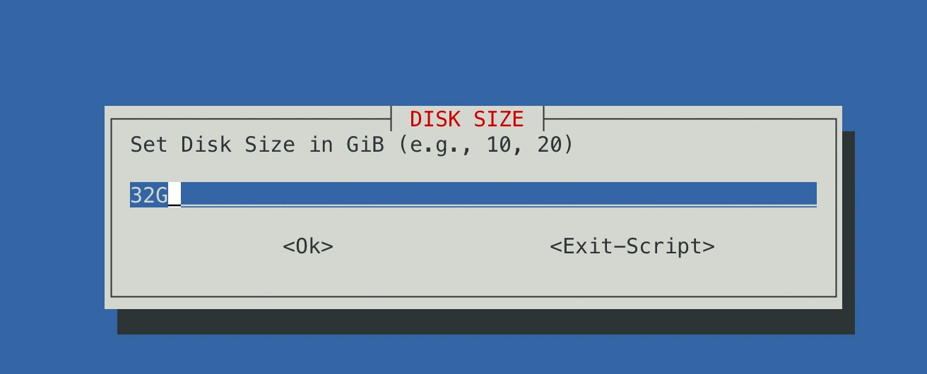 Disk size setting